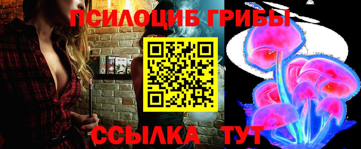 Галлюциногенные грибы MAGIC MUSHROOMS  Псилоцибиновые грибы MAGIC MUSHROOMS  наркота  Вход с VPN  Биробиджан 